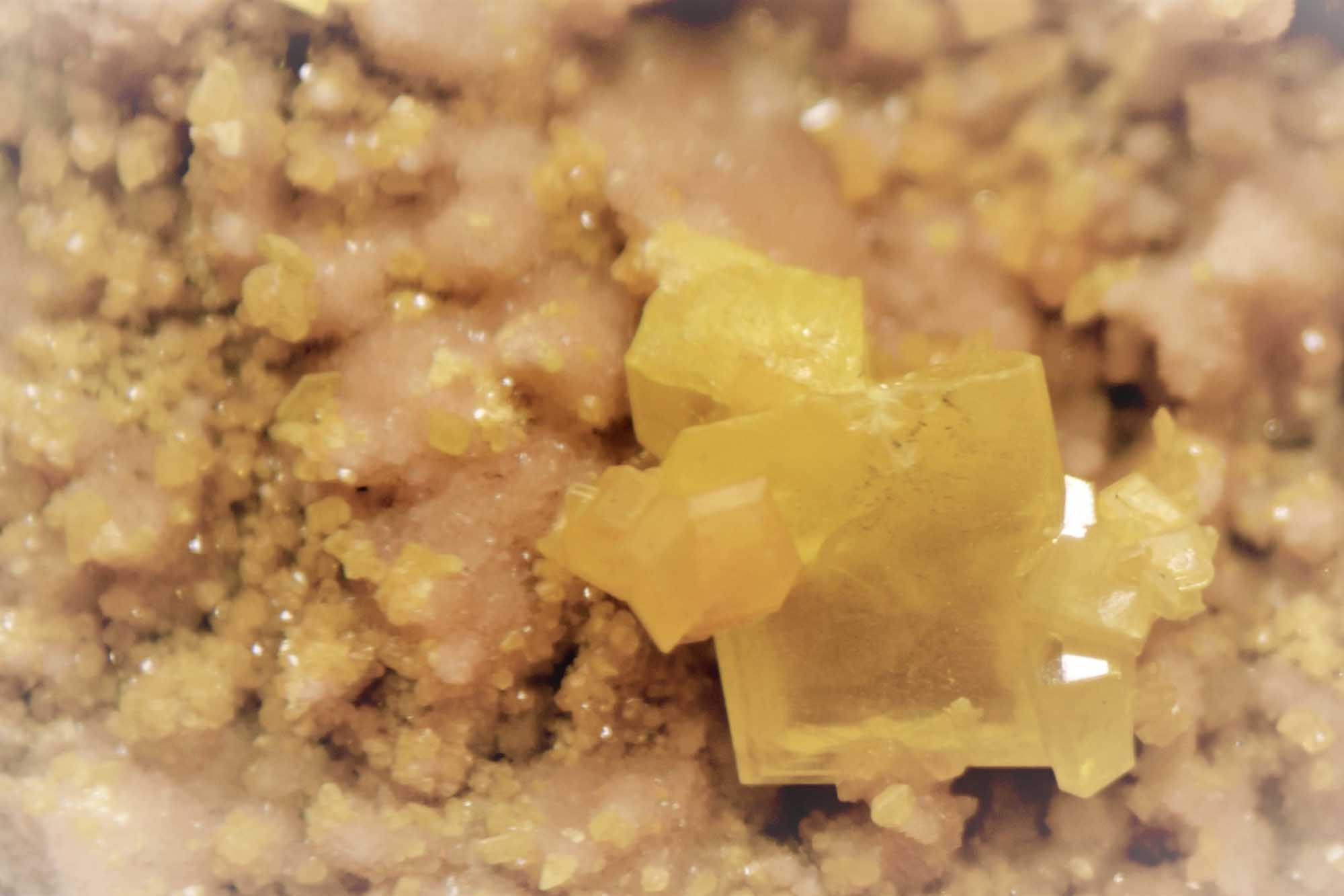 Spilla Cestino Fiori In Oro Bianco 18kt Con Rubini, Zaffiri E Smeraldi (anni 30/40) - Asta - Foto 11